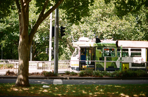 호주 멜버른의 트램 교통 필름사진 (NN015_044)