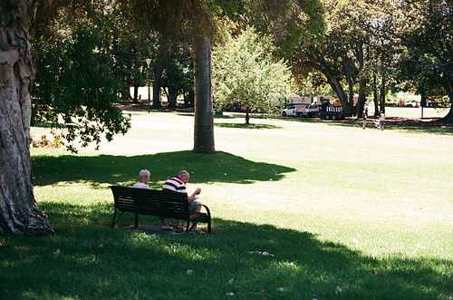 호주 멜버른의 작은공원의 벤치 필름사진 (NN015_050)