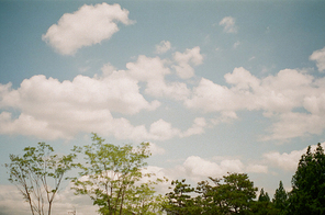 하늘 필름사진 002SS