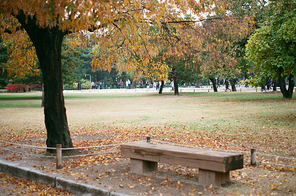 가을 풍경 필름사진 036SS