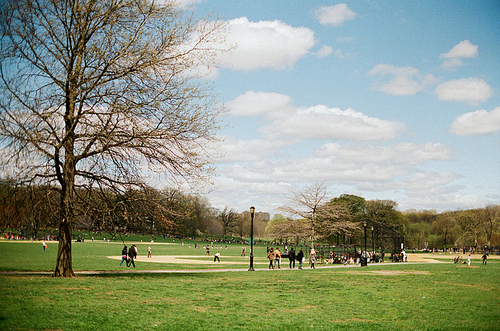 뉴욕 공원 필름사진 (NN032_002)