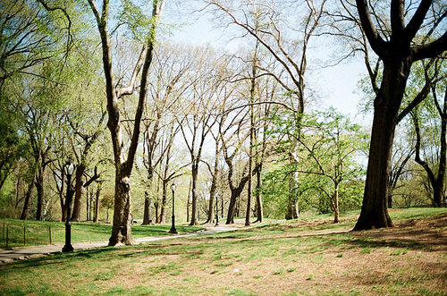 뉴욕 공원 필름사진 (NN032_006)