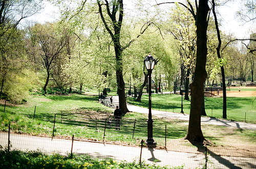 뉴욕 공원 필름사진 (NN032_008)