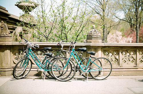 뉴욕 공원 자전거 필름사진 (NN032_009)