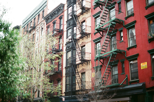 뉴욕 건물 꽃나무 필름사진 (NN032_013)