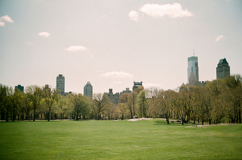 뉴욕 공원 잔디 필름사진 (NN032_018)