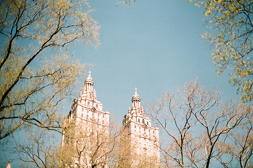 뉴욕 공원 필름사진 (NN032_021)