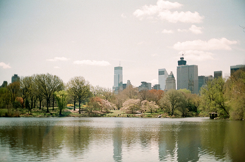 뉴욕 공원 호수 필름사진 (NN032_022)