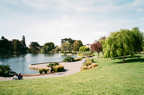 샌프란시스코 공원 호수 필름사진 (NN033_022)
