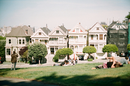 샌프란시스코 공원 잔디 건물 필름사진 (NN033_044)