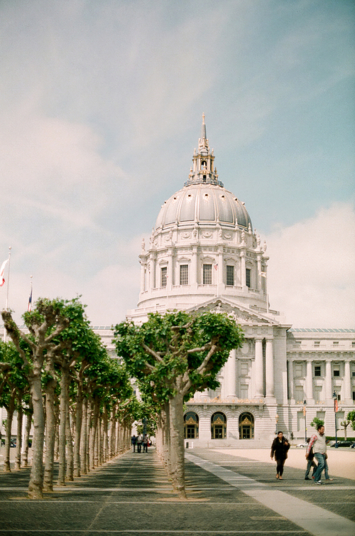 샌프란시스코 건물 필름사진 (NN033_048)