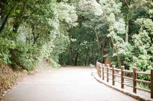 일본 공원 풍경 필름사진 (NN035_032)