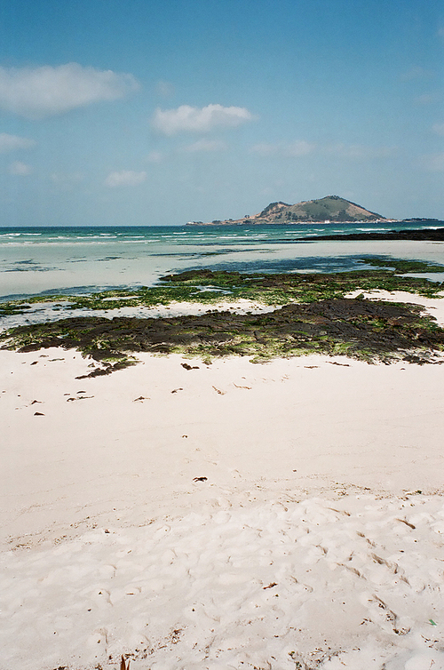 제주도 바다풍경 협재해변 필름사진 (NN041_017)