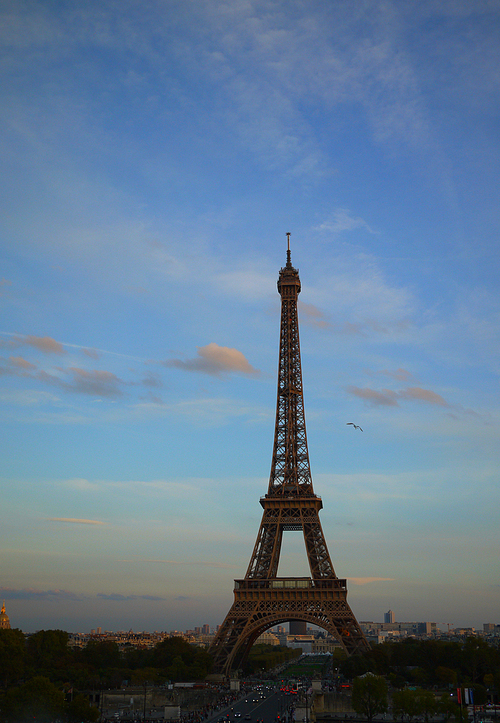 프랑스 파리 에펠탑의 노을 (NN050_031)