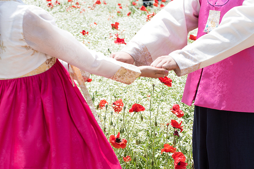 안개꽃과 양귀비가 가득한 공원에서 손을 잡고 있는 신혼 부부