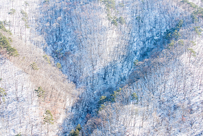 한국의 겨울산 풍경, 발왕산