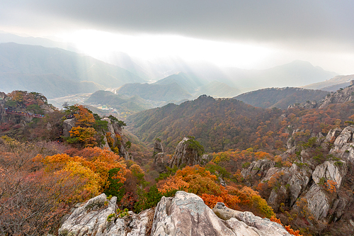 대둔산