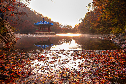 가을단풍에 물드는 호수가의 정자