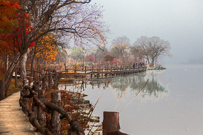 가을빛에 물드는 호수가의 산책로와 나무들