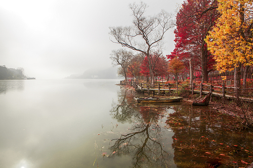 가을색으로 불드는 호수가의 산책로와 나무들