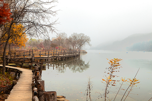 가을색에 물드는 호수가의 산책로와 나무들