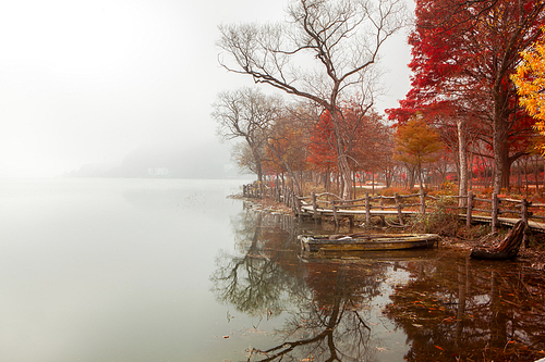 가을색으로 물드는 호수가의 산책로와 나무들