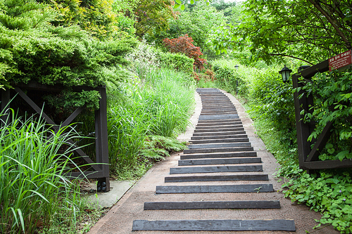 계단 산책로가 만들어진 생태공원
