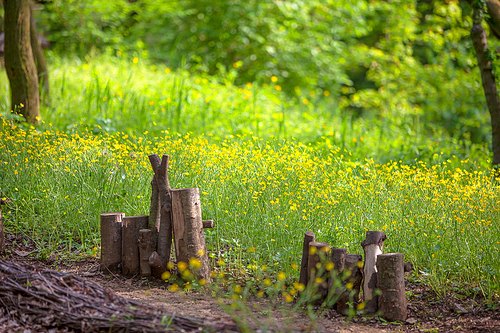 노랑꽃이 만발한 생태공원 풍경