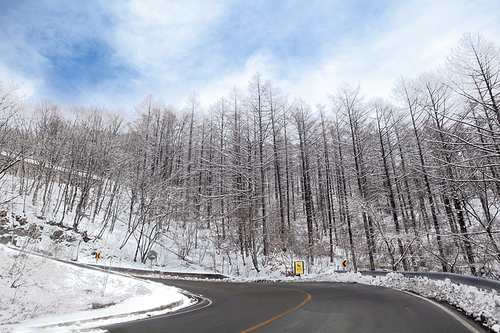 눈내린 나무와 산정상의 눈 녹은 도로