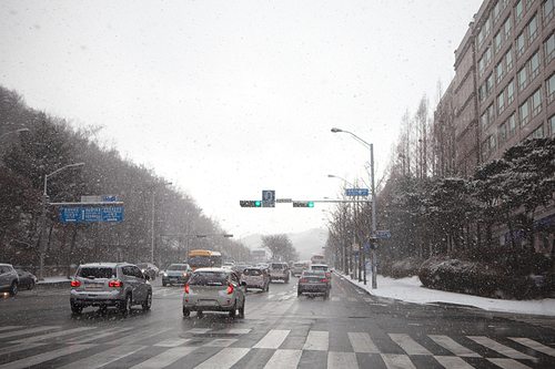 겨울 눈내리는 도심 도로의 자동차들