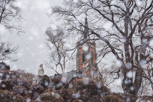 겨울 눈내리는 날의 성당 풍경