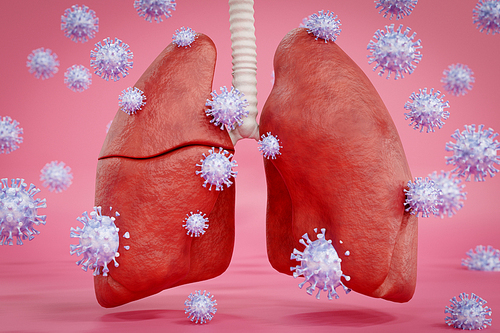 바이러스에 감영된 인간의 폐.
