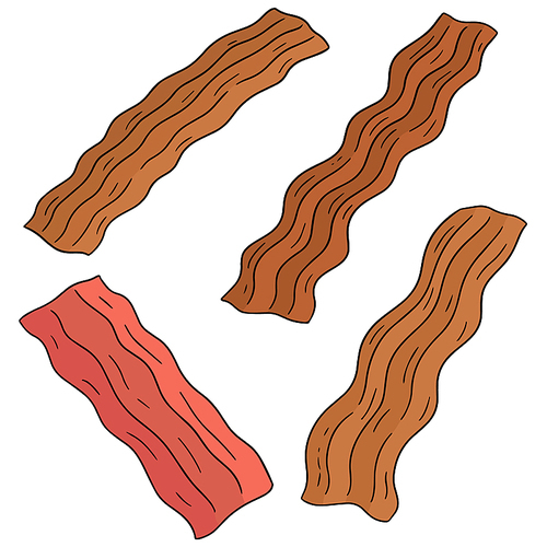 vector set of bacon
