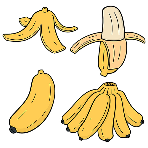 vector set of banana