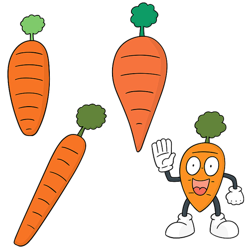 vector set of carrot