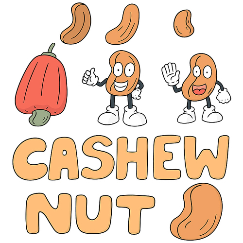 vector set of cashew nut