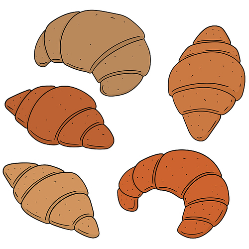 vector set of croissant