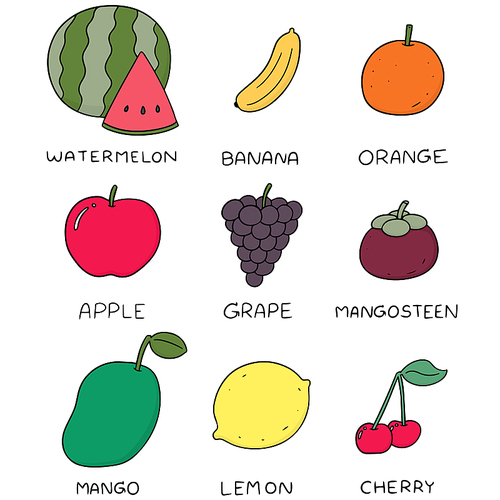 vector set of fruits