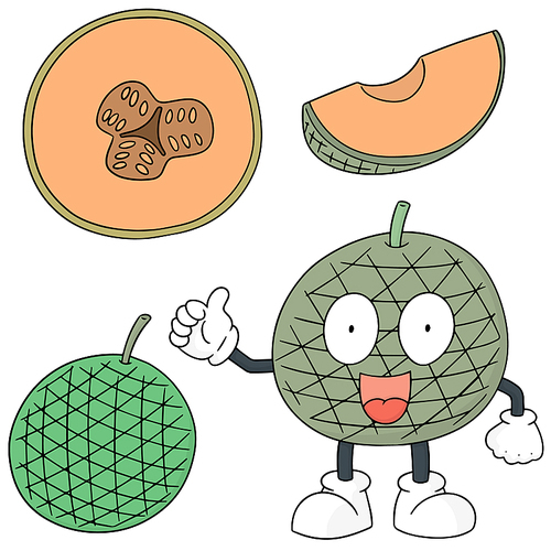 vector set of melon
