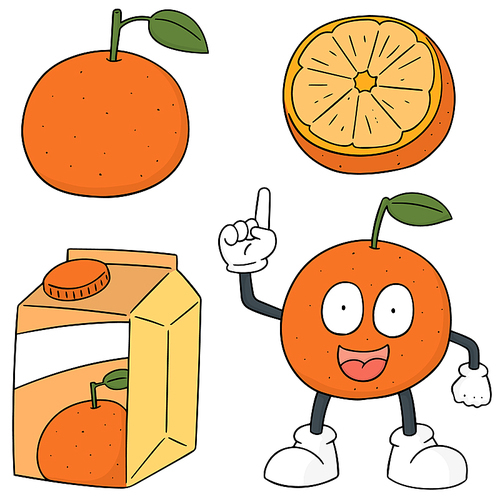 vector set of orange