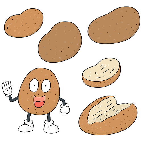 vector set of potato