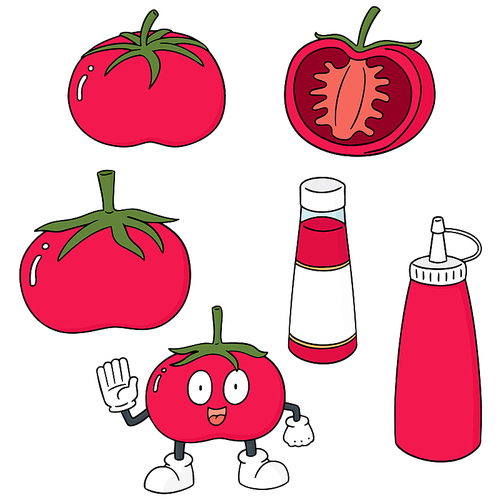 vector set of tomato and tomato ketchup