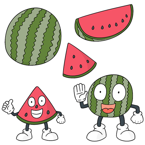 vector set of watermelon