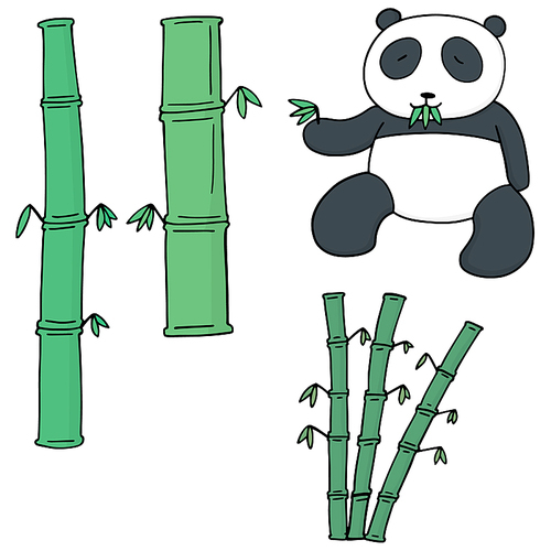 vector set of bamboo and panda