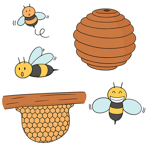 vector set of bee and honeycomb