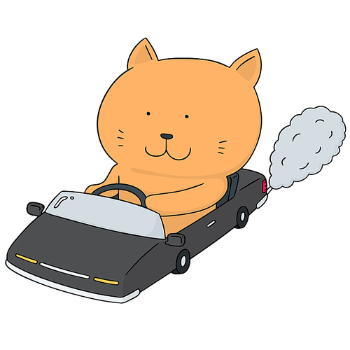 vector set of cat driving car