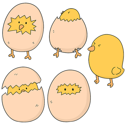 vector set of chick