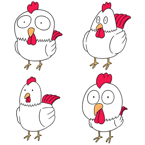 vector set of chicken