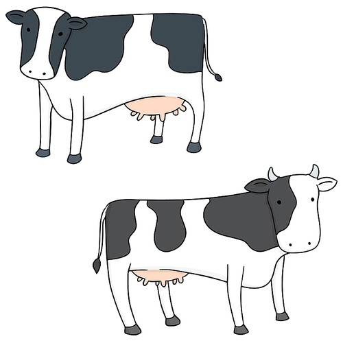 vector set of cow