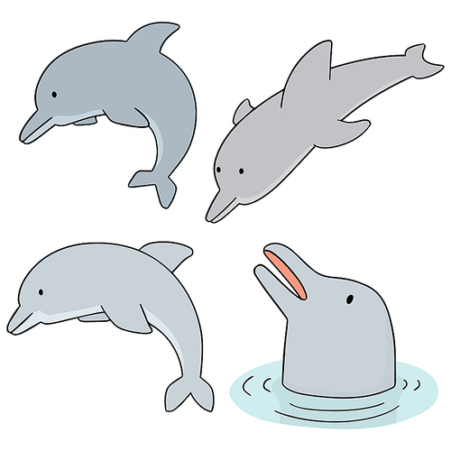 vector set of dolphin